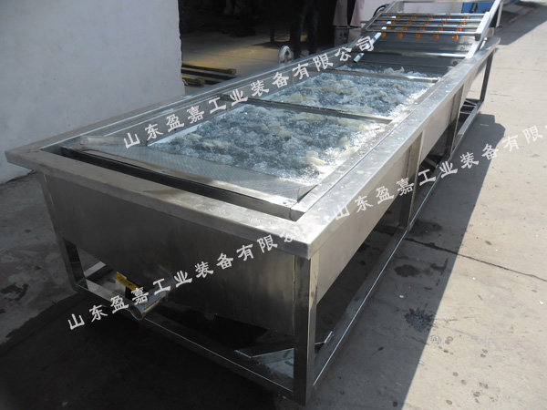 連續(xù)式蘑菇鼓泡清洗機(jī)，支持加工定制